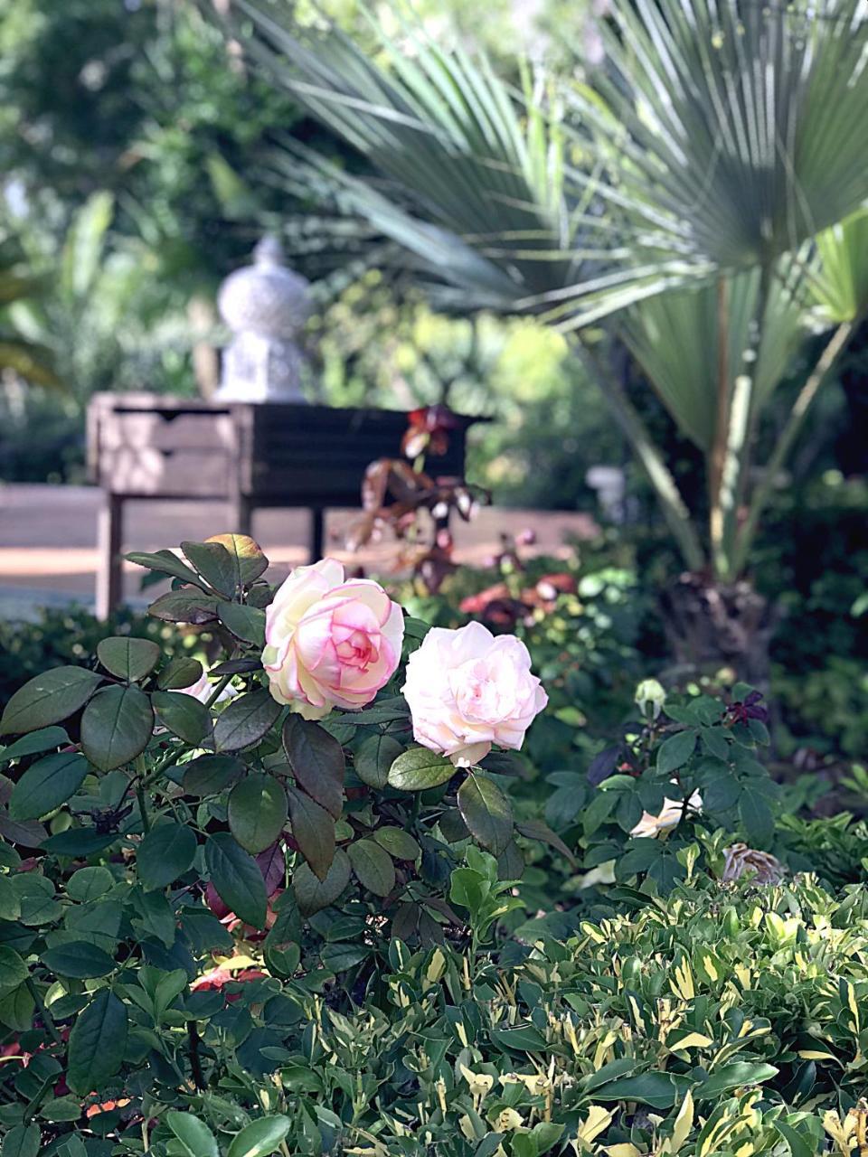 Villa Marrone - Relais - Μαρσάλα Εξωτερικό φωτογραφία